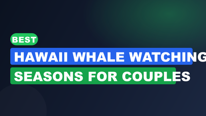 Best Hawaii Whale Watching Seasons for Couples