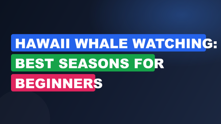Hawaii Whale Watching: Best Seasons for Beginners
