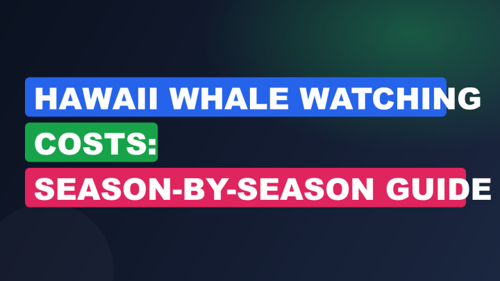 Hawaii Whale Watching Costs: Season-by-Season Guide