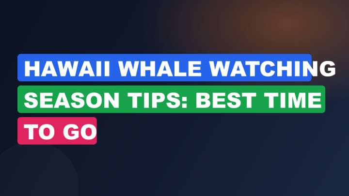 Hawaii Whale Watching Season Tips: Best Time to Go