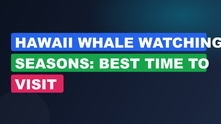 Hawaii Whale Watching Seasons: Best Time to Visit