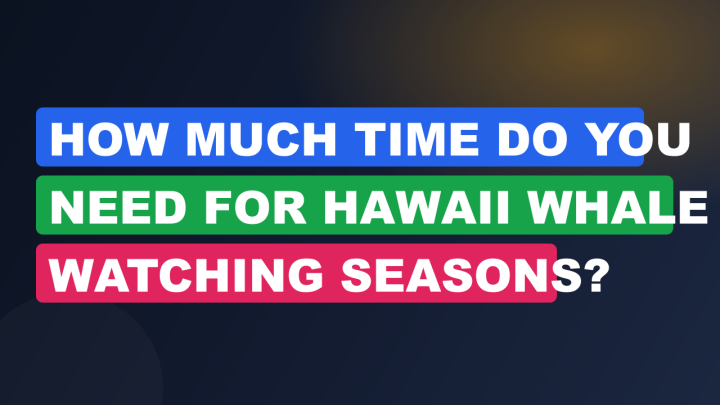 How Much Time Do You Need for Hawaii Whale Watching Seasons?